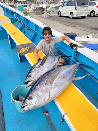 キハダマグロの釣果