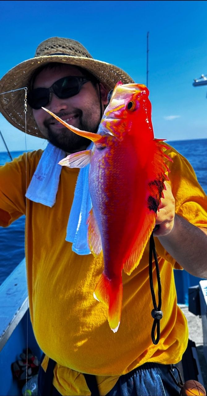 第15増福丸 釣果さんの釣果 2枚目の画像