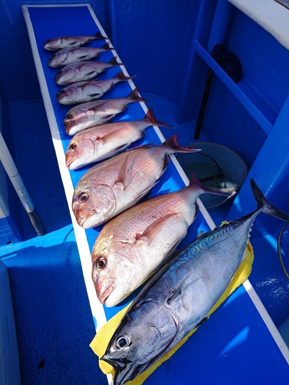 第2美吉丸 釣果さんの釣果 3枚目の画像