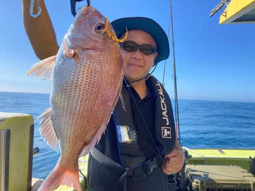 マダイの釣果