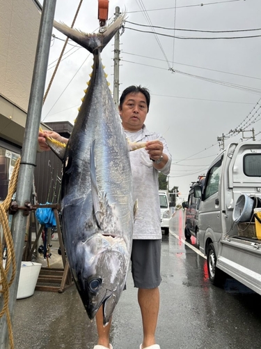 キハダマグロの釣果