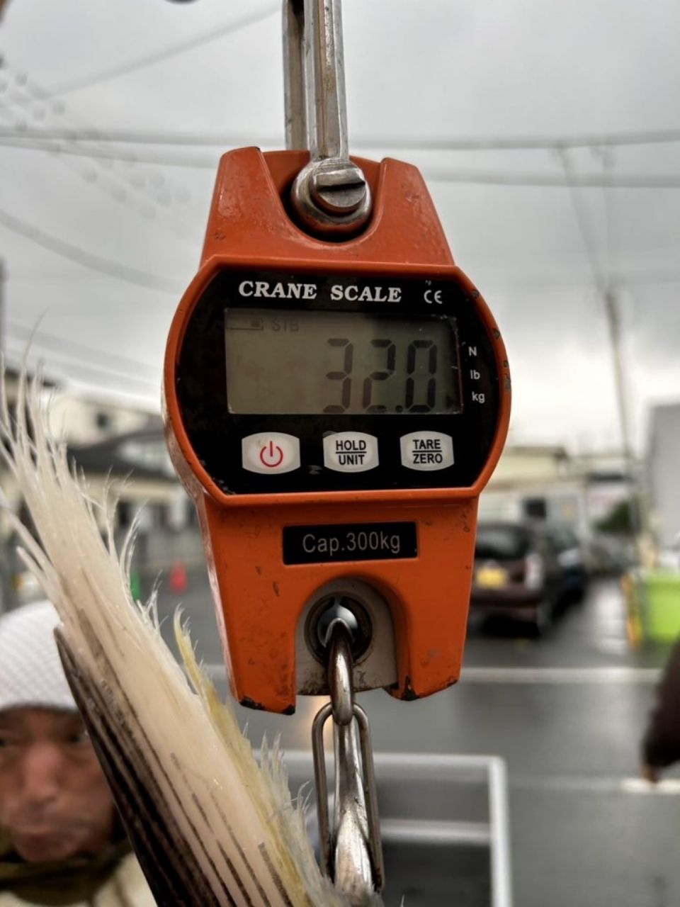 ちがさき丸 釣果さんの釣果 3枚目の画像