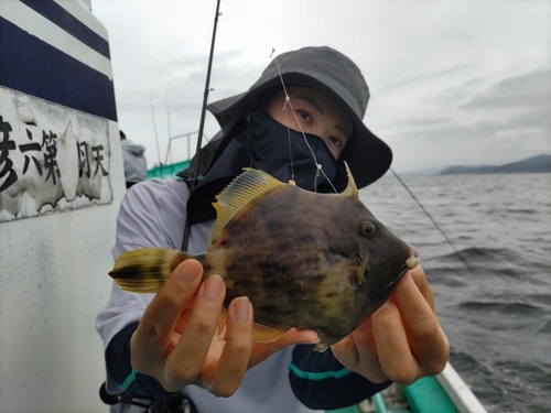 カワハギの釣果