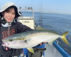 イナダの釣果