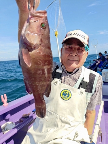 マハタの釣果