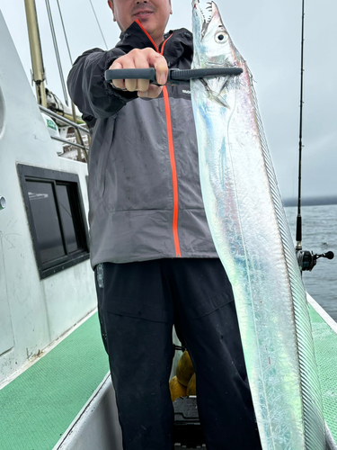 タチウオの釣果