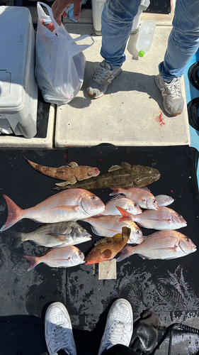 タイの釣果