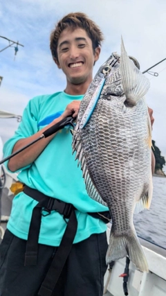 キビレの釣果