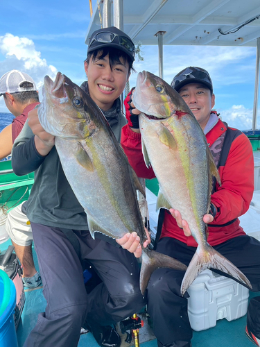 カンパチの釣果