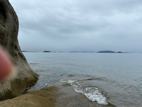 イイダコの釣果