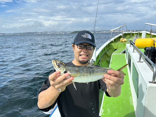 マアジの釣果