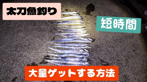 タチウオの釣果