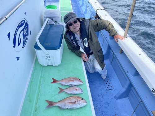 マダイの釣果