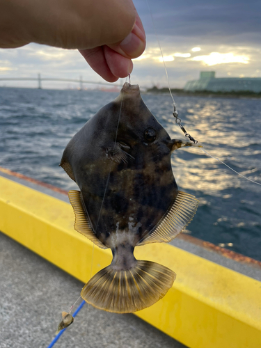 小名浜港