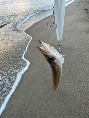 最上川