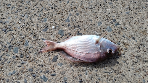 小名浜港アクアマリンふくしま周辺