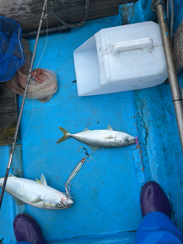 船越湾（岩手）