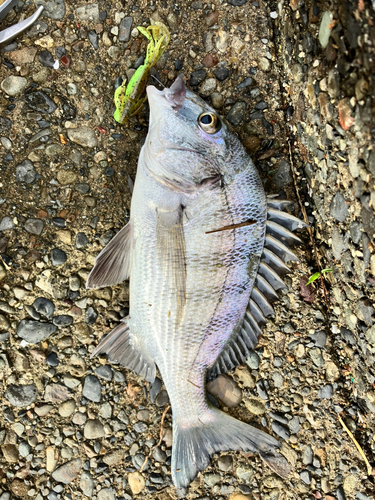 奥浜名湖