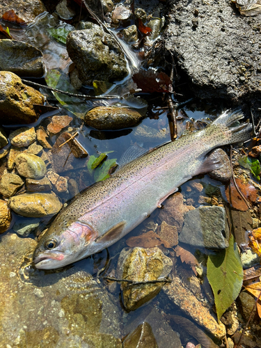 秋田県南部