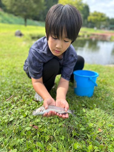 ニジマスの釣果