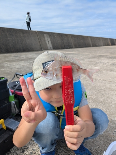 チャリコの釣果