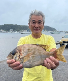 メイチダイの釣果