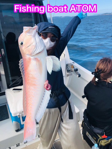 シロアマダイの釣果