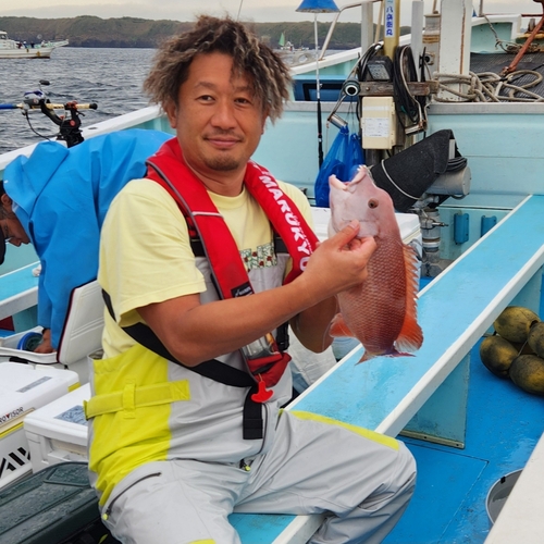 コブダイの釣果