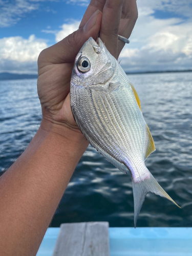 表浜名湖