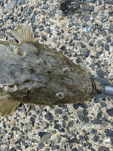 日明海峡釣り公園