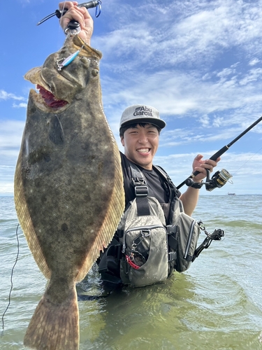 ヒラメの釣果