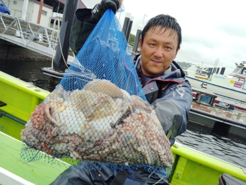 マダコの釣果