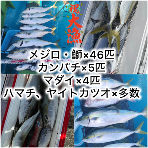 メジロの釣果