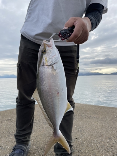 ネリゴの釣果