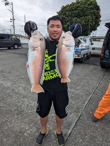 シロアマダイの釣果