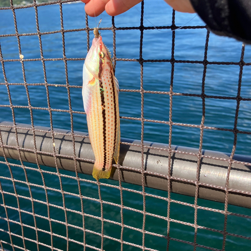 狩留家海浜公園