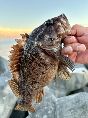 山田湾