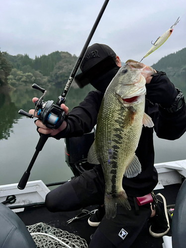 芹川ダム湖