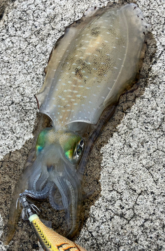 網代浜海水浴場