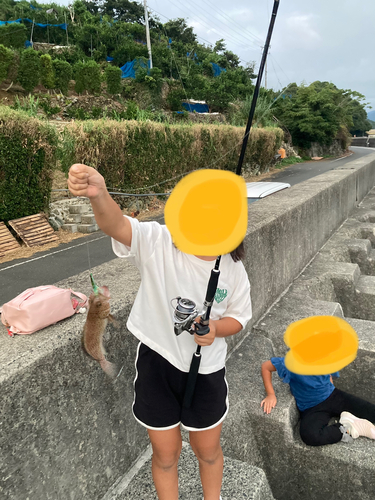 オオモンハタの釣果