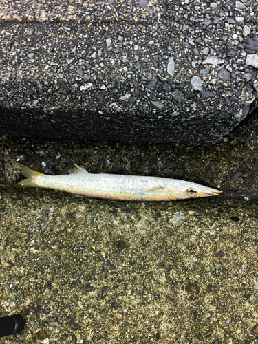 湯河原海浜公園