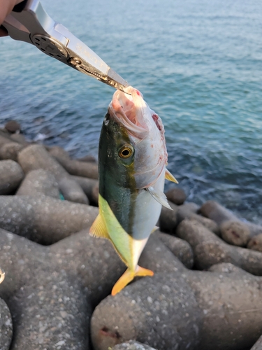 泉佐野食品コンビナート