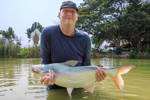 ナマズの釣果