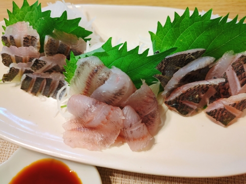 オヤビッチャの釣果