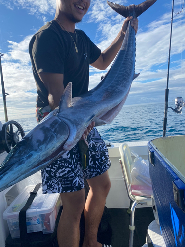 カマスサワラの釣果