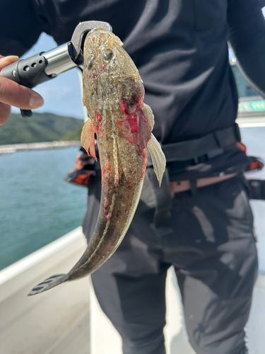 日生諸島