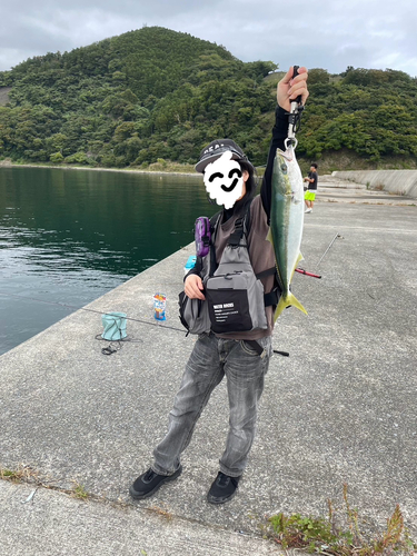 イナダの釣果