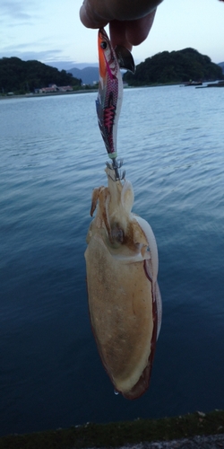 赤崎海水浴場