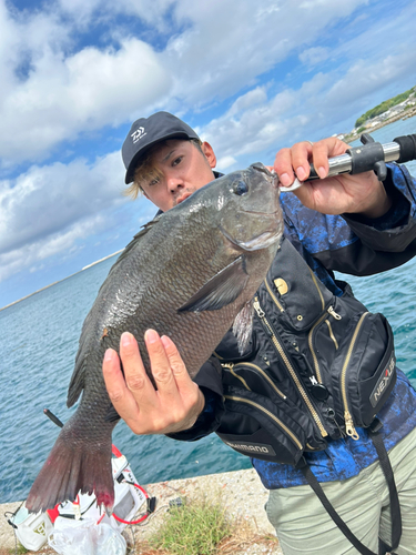 クチブトグレの釣果