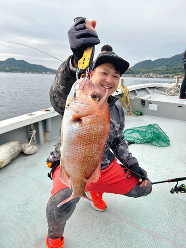 マダイの釣果